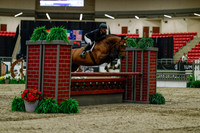 2025 - Haylee - Royal West - Saturday October 18th - 03373