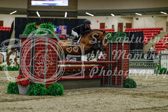 2025 - Haylee - Royal West - Saturday October 18th - 03374
