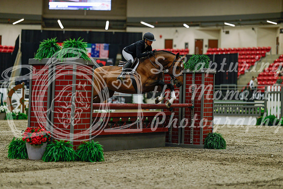 2025 - Haylee - Royal West - Saturday October 18th - 03375