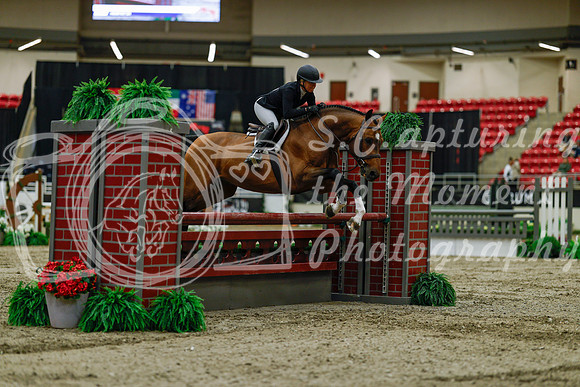 2025 - Haylee - Royal West - Saturday October 18th - 03376