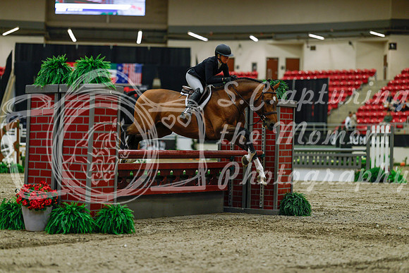 2025 - Haylee - Royal West - Saturday October 18th - 03378