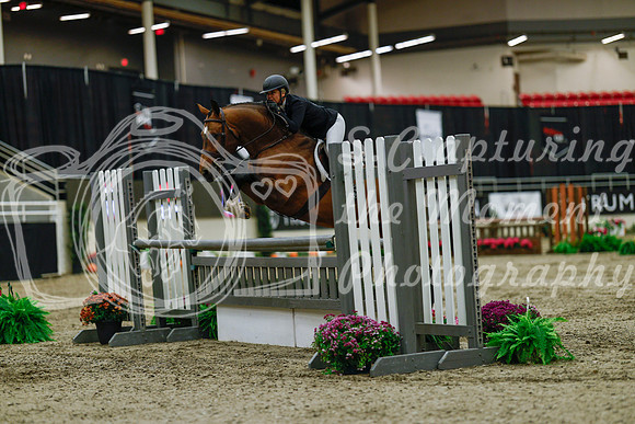 2025 - Haylee - Royal West - Saturday October 18th - 03379