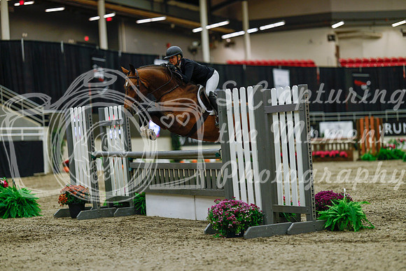 2025 - Haylee - Royal West - Saturday October 18th - 03380