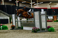 2025 - Haylee - Royal West - Saturday October 18th - 03382