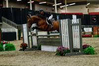 2025 - Haylee - Royal West - Saturday October 18th - 03383