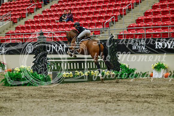 2025 - Haylee - Royal West - Saturday October 18th - 03384