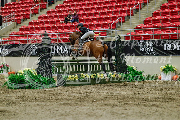 2025 - Haylee - Royal West - Saturday October 18th - 03385