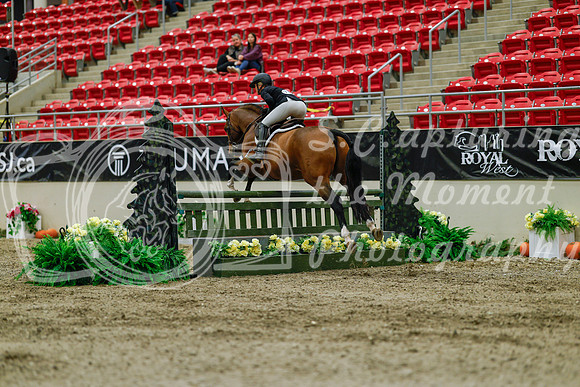 2025 - Haylee - Royal West - Saturday October 18th - 03386