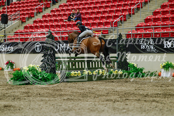 2025 - Haylee - Royal West - Saturday October 18th - 03387