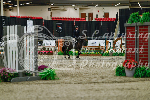 2025 - Haylee - Royal West - Saturday October 18th - 03144