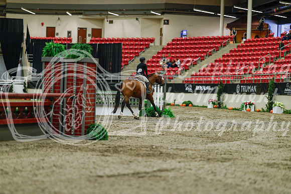 2025 - Haylee - Royal West - Saturday October 18th - 03390