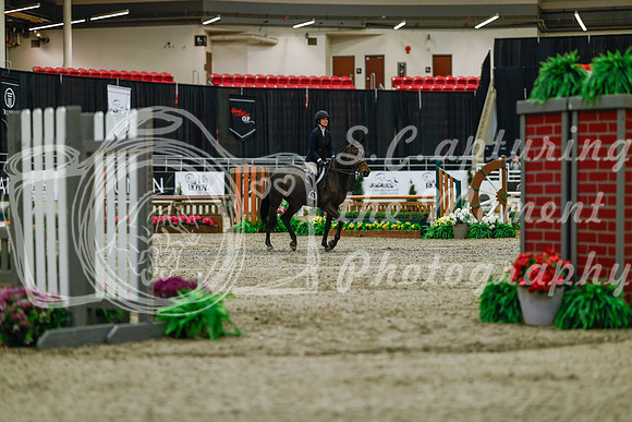 2025 - Haylee - Royal West - Saturday October 18th - 03146