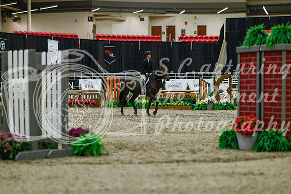 2025 - Haylee - Royal West - Saturday October 18th - 03147