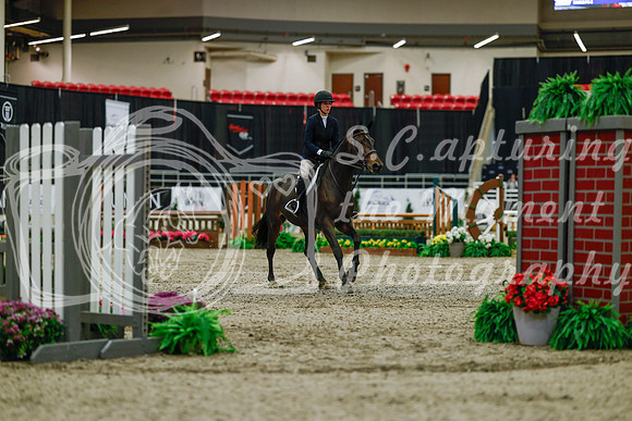 2025 - Haylee - Royal West - Saturday October 18th - 03148