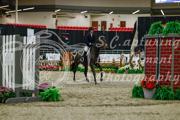 2025 - Haylee - Royal West - Saturday October 18th - 03149