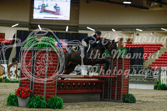 2025 - Haylee - Royal West - Saturday October 18th - 03153