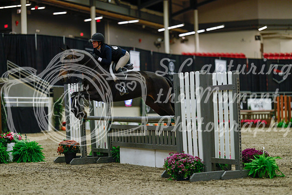 2025 - Haylee - Royal West - Saturday October 18th - 03157
