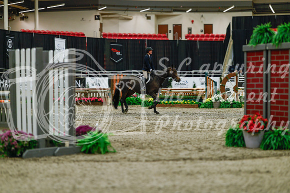 2025 - Haylee - Royal West - Saturday October 18th - 03161