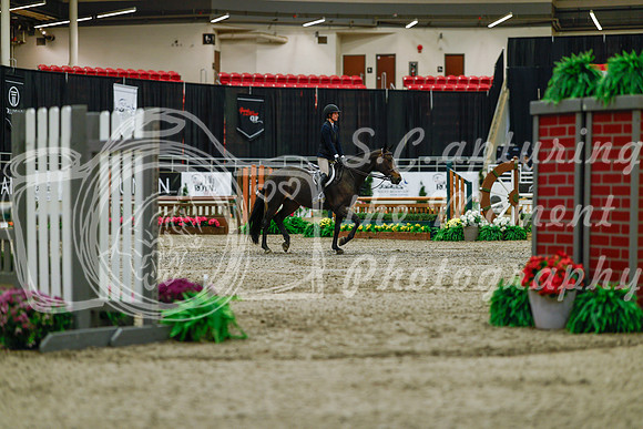 2025 - Haylee - Royal West - Saturday October 18th - 03163