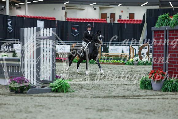 2025 - Shea - Royal West - Saturday October 18th - 02264