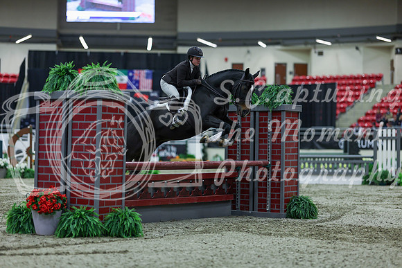2025 - Shea - Royal West - Saturday October 18th - 02267