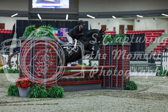 2025 - Shea - Royal West - Saturday October 18th - 02265