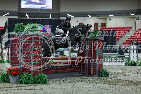 2025 - Shea - Royal West - Saturday October 18th - 02268