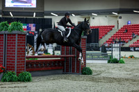 2025 - Shea - Royal West - Saturday October 18th - 02274