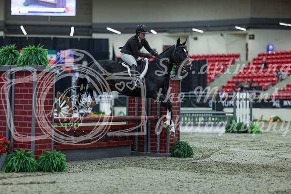 2025 - Shea - Royal West - Saturday October 18th - 02274