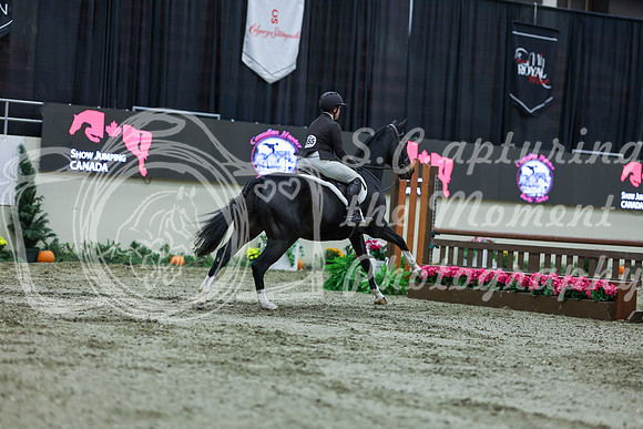 2025 - Shea - Royal West - Saturday October 18th - 02278