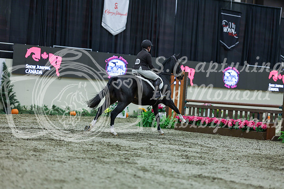 2025 - Shea - Royal West - Saturday October 18th - 02279