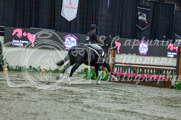 2025 - Shea - Royal West - Saturday October 18th - 02280