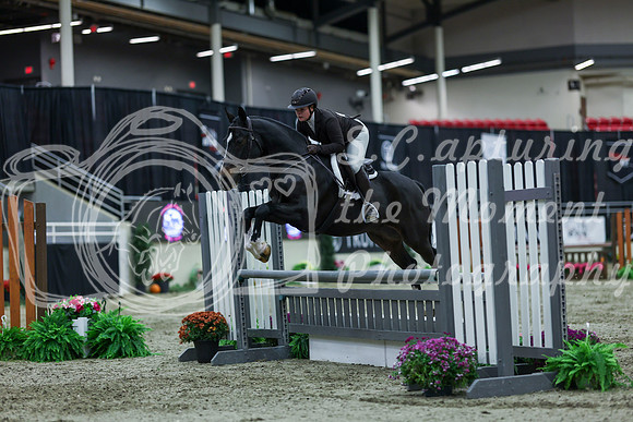 2025 - Shea - Royal West - Saturday October 18th - 02284