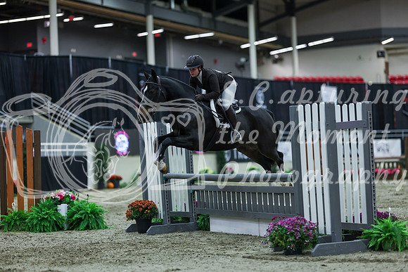 2025 - Shea - Royal West - Saturday October 18th - 02285
