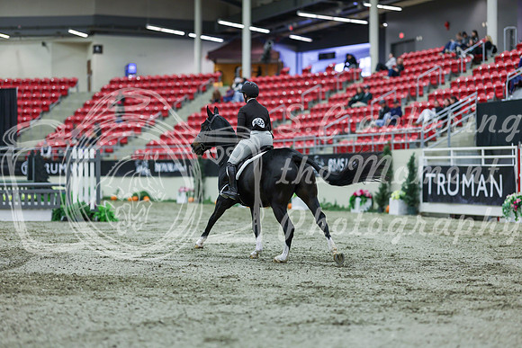 2025 - Shea - Royal West - Saturday October 18th - 02350