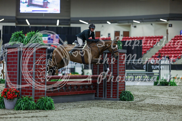 2025 - Shea - Royal West - Saturday October 18th - 02422