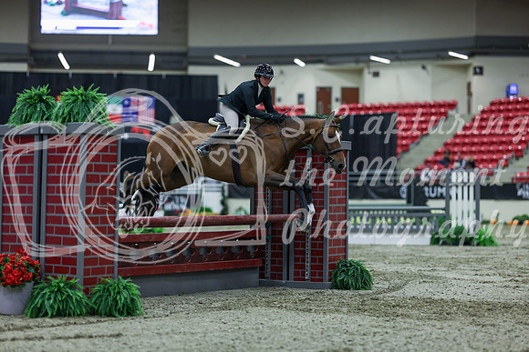 2025 - Shea - Royal West - Saturday October 18th - 02423