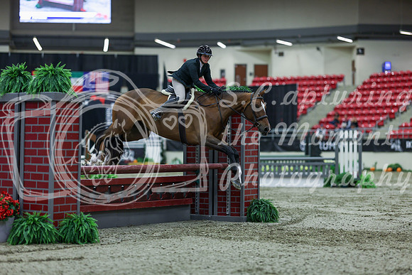 2025 - Shea - Royal West - Saturday October 18th - 02424