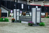 2025 - Shea - Royal West - Saturday October 18th - 02425