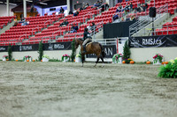 2025 - Shea - Royal West - Saturday October 18th - 02435