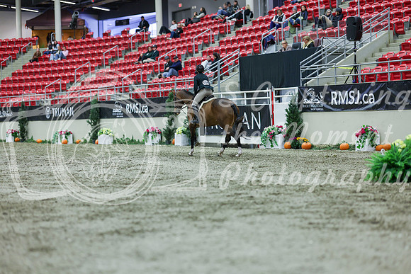 2025 - Shea - Royal West - Saturday October 18th - 02435