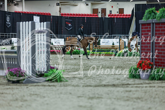 2025 - Shea - Royal West - Saturday October 18th - 02438
