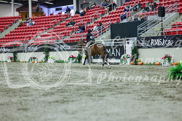 2025 - Shea - Royal West - Saturday October 18th - 02437