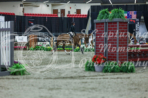 2025 - Shea - Royal West - Saturday October 18th - 02442