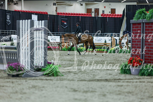 2025 - Shea - Royal West - Saturday October 18th - 02468
