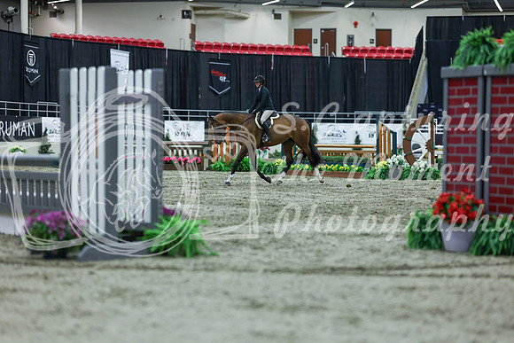 2025 - Shea - Royal West - Saturday October 18th - 02469