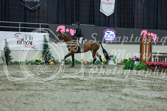 2025 - Shea - Royal West - Saturday October 18th - 02471