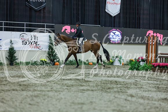 2025 - Shea - Royal West - Saturday October 18th - 02473