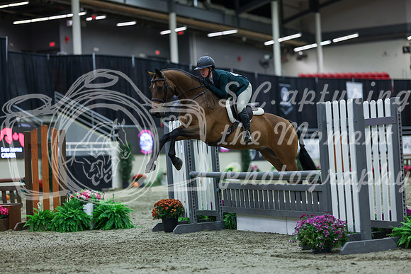 2025 - Shea - Royal West - Saturday October 18th - 02803