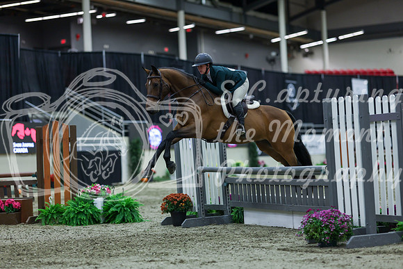 2025 - Shea - Royal West - Saturday October 18th - 02804